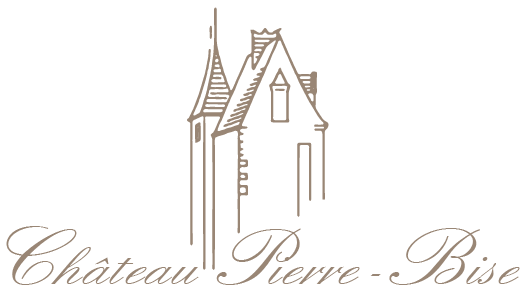 Chateau Pierre Bise